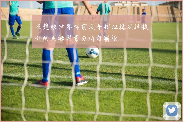王楚钦世界杯前反手拧拉稳定性提升的关键因素分析与解读